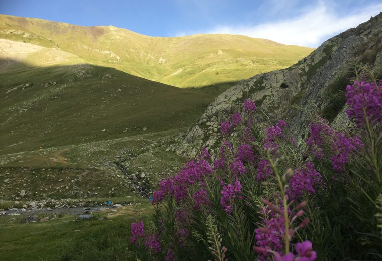 Puig de les Borregues